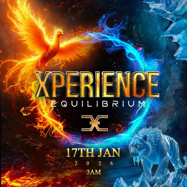 Xperience Equilibrium